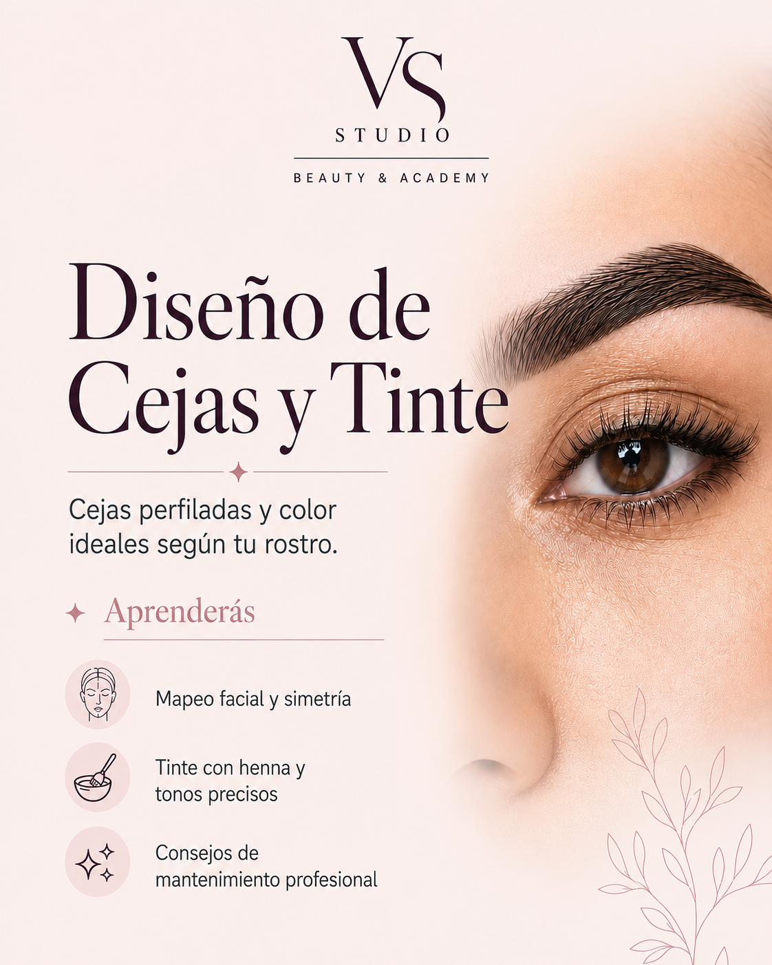 Curso de Diseño de Cejas y Tinte