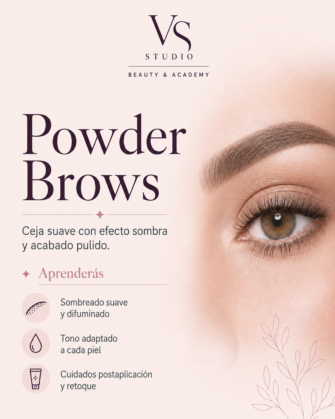 Curso de Powder Brows en VS Studio